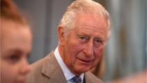VOICI : Prince Charles : son supposé fils caché Simon Dorante-Day 