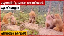 ഭാര്യയോട് പെട്ടെന്ന് പ്രണയം തോന്നിയ കുരങ്ങന്‍ ചെയ്തത് | Oneindia Malayalam