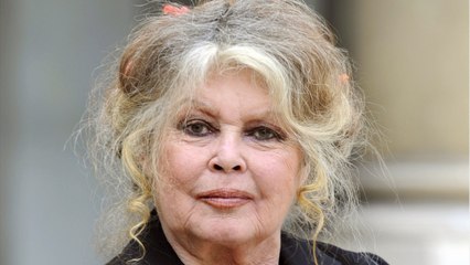 VOICI : Brigitte Bardot pas tendre avec Emmanuel Macron​​ sur la souffrance animale