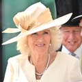 VOICI SOCIAL - Camilla Parker Bowles : un historien fait des révélations très embarrassantes au sujet de l'épouse du prince Charles
