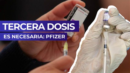 Скачать видео: Tercera dosis es necesaria: Pfizer