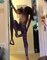 Une jeune gymnaste parvient à se tenir en équilibre sur des élastiques fixés à sa porte
