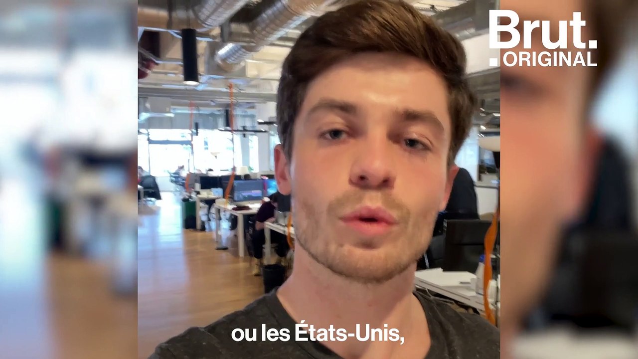 12 000 lions et de nombreux tigres élevés en enclos en Afrique du Sud