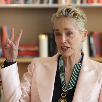 VOICI SOCIAL Sharon Stone : son neveu de 11 mois entre la vie et la mort, elle partage un cliché choc (1)