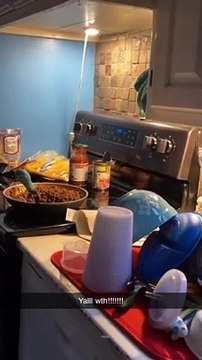 Mouse Gets Caught Stealing Food