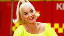 VOICI - Katy Perry : la chanteuse endeuillée pleure la mort de son chat Kitty Purry