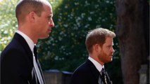 VOICI - William et Harry se sont parlés : ce seul sujet qu’ils ont abordé avant l’hommage à Lady Diana