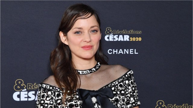 VOICI - « Je trouve cela insupportable : Marion Cotillard dégoûtée par la politique, elle se confie
