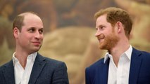 VOICI : Prince William : le garde du corps de Lady Diana fait d'étonnantes révélations sur sa relation avec Harry quand ils étaient enfants