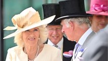 VOICI - Prince Charles et Camilla : leur supposé fils illégitime, Simon Dorante-Day, apporte de nouvelles preuves (1)