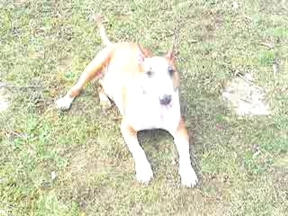 MOV00175