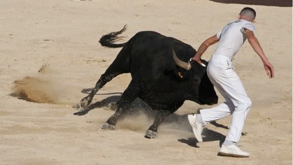 VOICI - Intervilles reporté à cause du Coronavirus ? Un proche rétablit la vérité