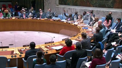 Rússia veta resolução da ONU