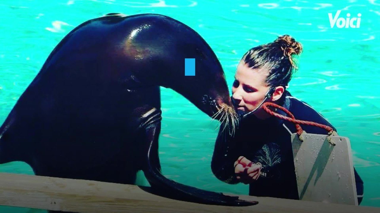 VOICI Une saison au zoo : une cinquantaine d’animaux meurent dans l’incendie du zoo de la Flèche