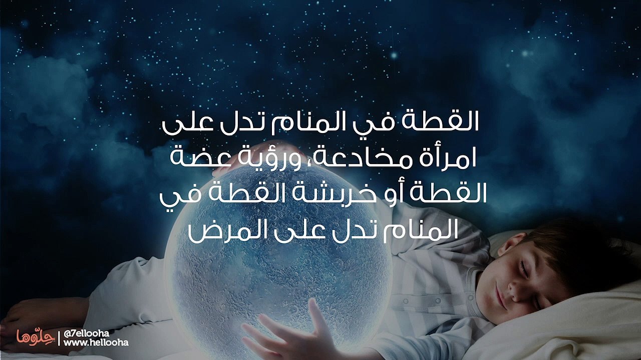 القطة في المنام وتفسير رؤية القطط في الحلم بالتفصيل