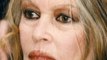 VOICI // SOCIAL Brigitte Bardot Prend La Défense De Roman Polanski : Les Internautes Sont Scandalisés