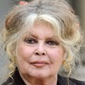 VOICI SOCIAL: Brigitte Bardot en colère : elle attaque dans un tweet assassin Marie-Sophie Lacarrau qui l'a 