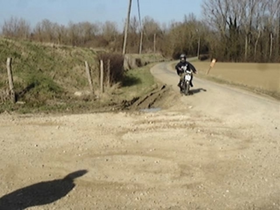 session crevette