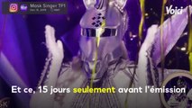 Voici - Mask Singer : pourquoi la pieuvre a changé d'interprète 15 jours avant le début du tournage