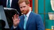 VOICI - Le prince Harry victime d'un canular : il donne son avis sur le prince Andrew et le scandale Epstein