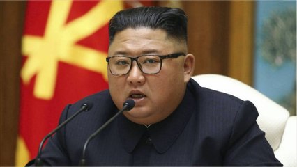 VOICI - Kim Jong-Un mort ? Le ministre japonais de la Défense fait d'intrigantes révélations