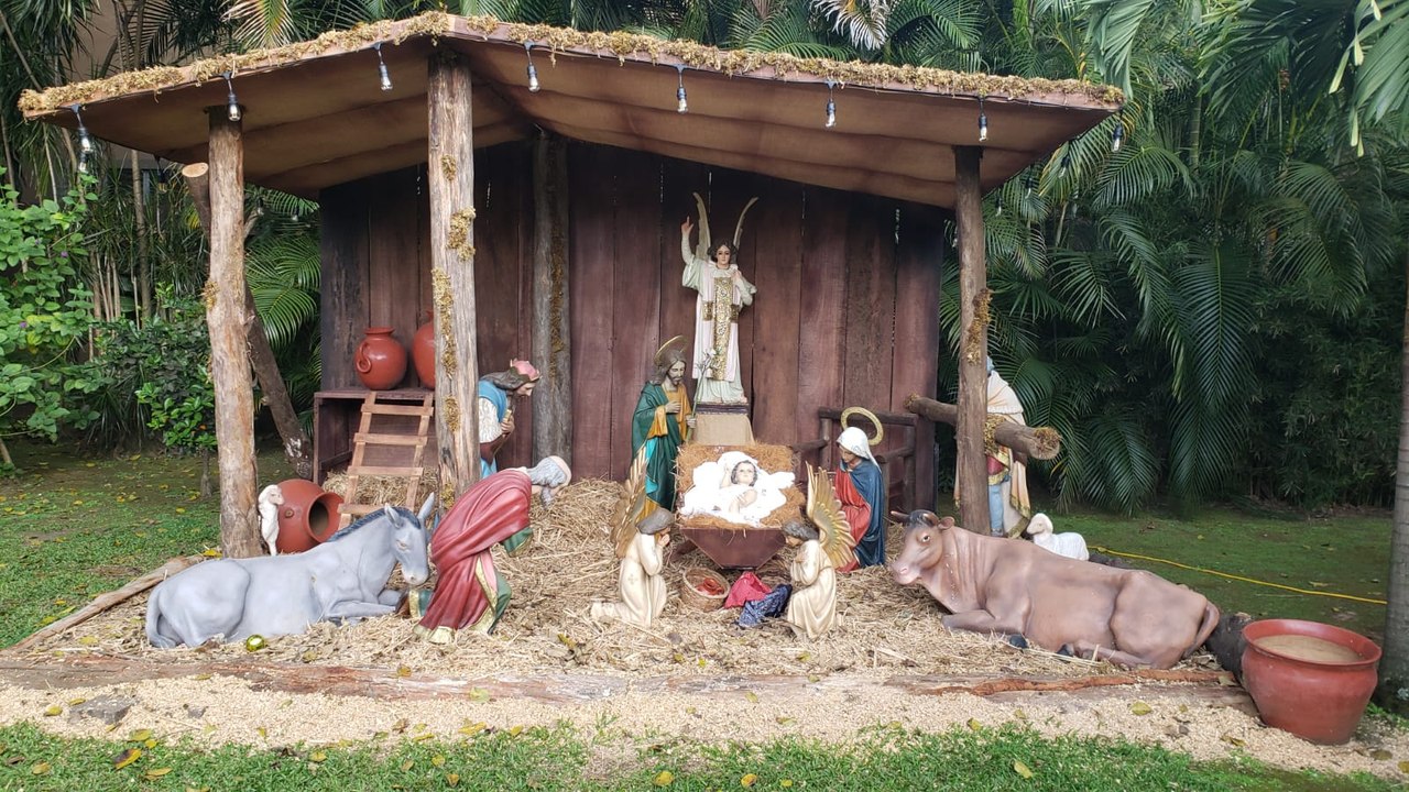 Promo institucional: Ven a mi casa esta Navidad