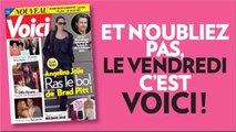 VOICI Lolita Séchan : la fille de Renaud sort de son silence sur Instagram pour soutenir un beau projet