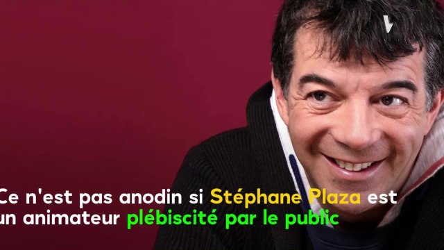 VOICI - Stéphane Plaza : l’animateur se moque de son frère sur Instagram