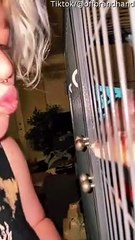 Rascally Pet Rat Bites Piercing