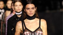 VOICI-Kendall Jenner : sexy sur un selfie, des internautes sont jaloux !