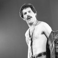 VOICI SOCIAL - Freddie Mercury La Terrible Décision Prise Par Le Chanteur Deux Semaines Avant Sa Mort (1)