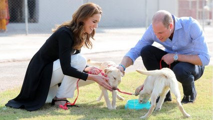 VOICI "C'était une aventure" : Kate Middleton revient sur sa grosse frayeur en avion