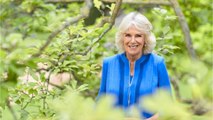 VOICI-Camilla Parker-Bowles : la duchesse de Cornouailles fête ses 73 ans, un cliché inédit dévoilé