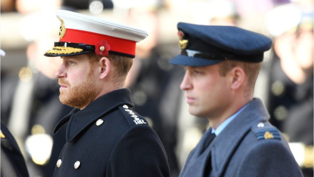 VOICI - Les princes Harry et William toujours en froid : pourquoi une réconciliation paraît peu probable
