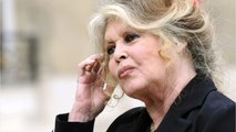 VOICI - Mort de Michel Piccoli : Brigitte Bardot s’explique après son hommage osé au défunt acteur