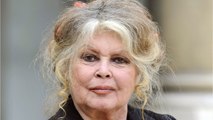 VOICI Brigitte Bardot poursuivie au tribunal pour avoir insulté des chasseurs