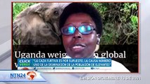 Aumento de caza de elefantes en África, otro efecto de la pandemia