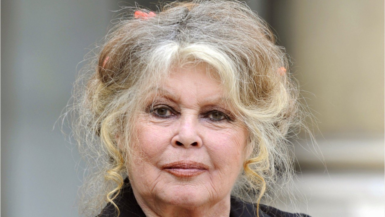 VOICI - Brigitte Bardot : victime d'escroquerie, elle pousse un énorme coup de gueule