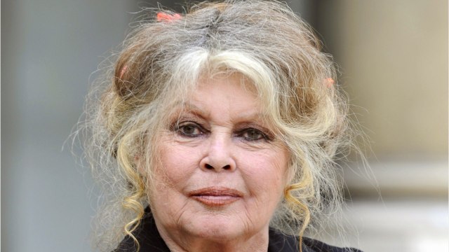 VOICI - Brigitte Bardot : victime d'escroquerie, elle pousse un énorme coup de gueule