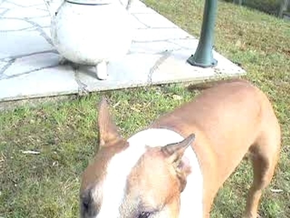 MOV00174