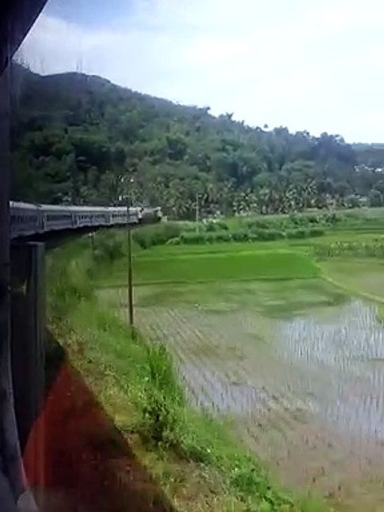 Kereta senja