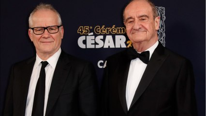 voici Thierry Frémaux répond à Coline Serreau qui se dit ravie de l’annulation du « Festival de connes "