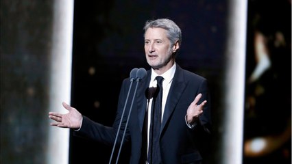 VOICI Antoine de Caunes tacle Ségolène Royal : les internautes jubilent