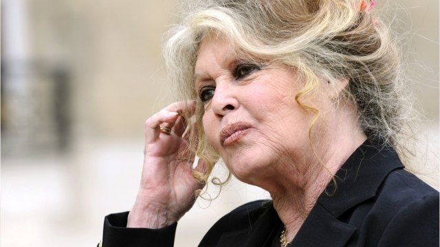 Voici - Brigitte Bardot : comment elle vit les nombreuses (et parfois violentes) critiques