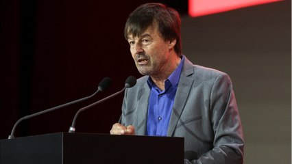 VOICI Nicolas Hulot candidat à l'élection présidentielle de 2022 ? Il répond à Yann Barthès