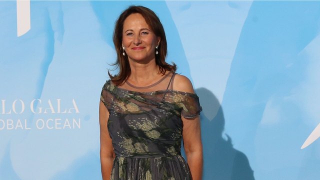 VOICI - Ségolène Royal Supprime Ses Tweets En Faveur De La Chloroquine, La Toile S’enflamme (1)