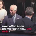 Copy of: VOICI Prince George : le surprenant cadeau que lui a offert son grand-père, le prince Charles