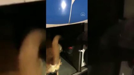 Yolcu otobüsünde 12 kilogram eroin ele geçirildi