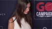 VOICI - VIDEO Emily Ratajkowski : le mannequin s’affiche en lingerie transparente sur Instagram
