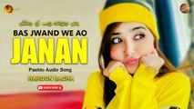 Bas Jwand We Ao Janan By Haroon Bacha | Pashto Audio Song | Spice Media